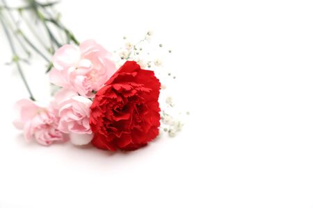 bouquet of roses and babys breath in a white backgroundの写真素材