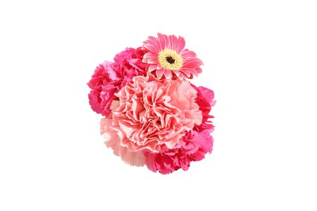 bouquet of transvaal daisy and carnation in a white backgroundの写真素材