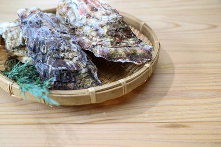 oysters on the bamboo colanderの写真素材