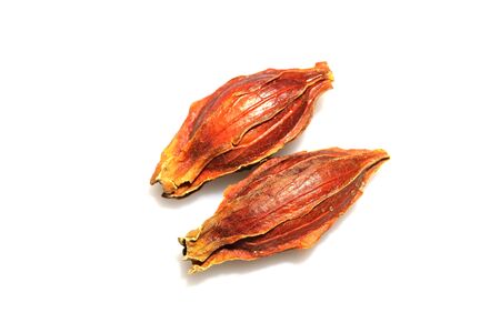 dried gardenia fruits in a white background
