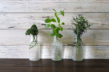 herbs in a wooden back groundの写真素材