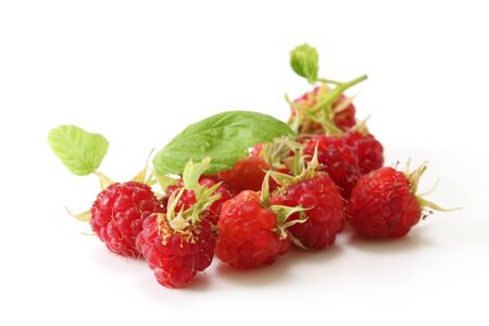 freshly picked raspberries in a white background