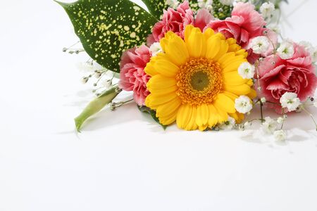 various kind of flowers in a white backgroundの写真素材