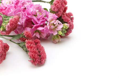 bouquet of statice and stock in a white background