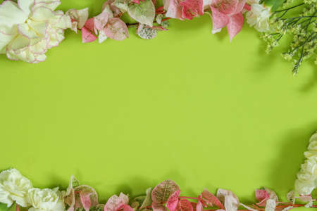 carnations and starchis in a green backgroundの写真素材