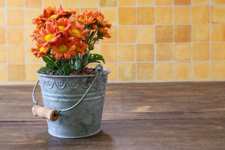 bouquet of chrysanthemum in a bucket shaped tin flowerpotの写真素材