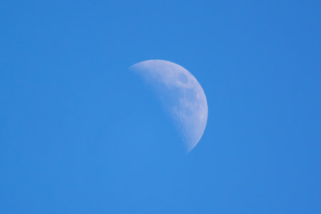 white half-moon in the blue skyの写真素材