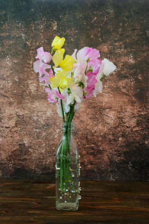 various color of sweetpea in a glass bottleの写真素材