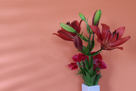 Lily and satin flower in a orange wall background.