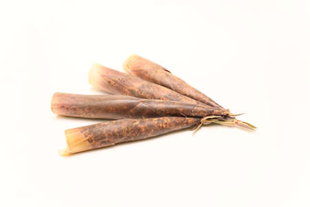 bamboo shoot with sheath in a white background