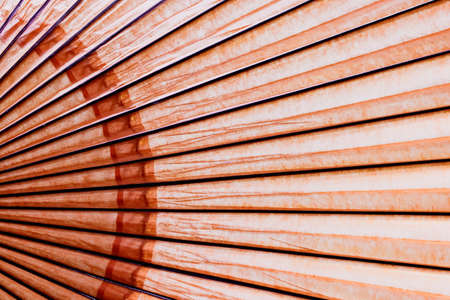 Japanese umbrella fills in the whole screenの写真素材