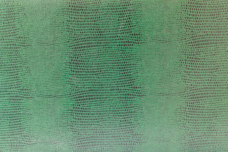 green leather fills in a whole screen