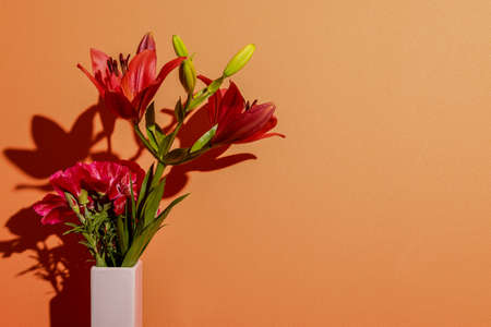 Lily and satin flower in a orange wall background.