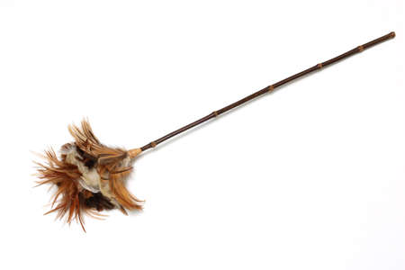 Feather duster isolated on a white background.の写真素材