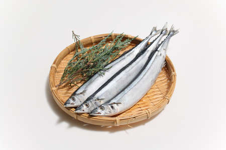 Three pacific sauries on the bamboo colander isolated on a white background.の写真素材
