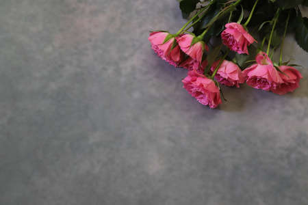 Bouquet of pink roses in concrete pattern background.の写真素材