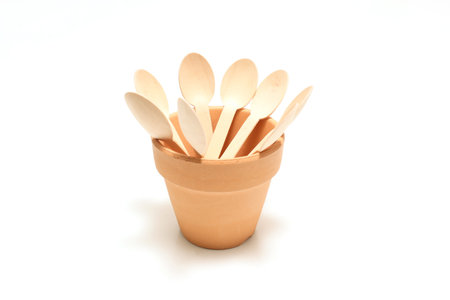 Wooden spoons in the flower pot isolated on a white background.の写真素材