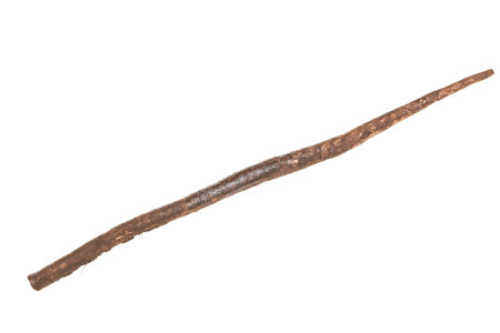 Burdock isolated on a white background.の写真素材