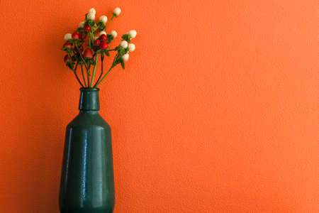 Berries of Hypericum in the glass bottle isolated on orange wall.の写真素材