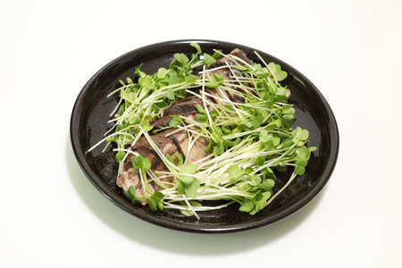 Lghtly roasted bonito on a black dish with radish sprouts.