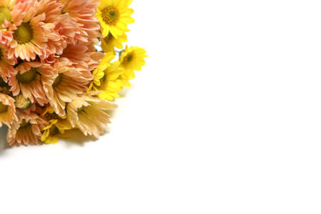Bouquet of chrysanthemum isolated on a white background.の写真素材