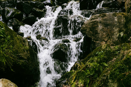 Waterfall in the forest with moss and ferns on the rocks