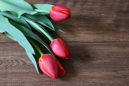 Bouquet of red tulips on wooden background, copy spaceの写真素材