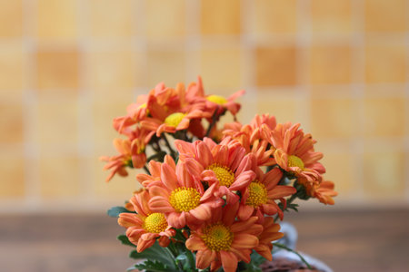 bouquet of chrysanthemum in a bucket shaped tin flowerpot.の写真素材