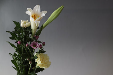 Various kind of flowers isolated on a gray background.の写真素材