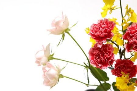 Bouquet of orchid, roses and carnation isolated on a white background.の写真素材