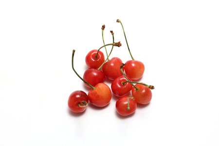 Cherries isolated on a white background.の写真素材