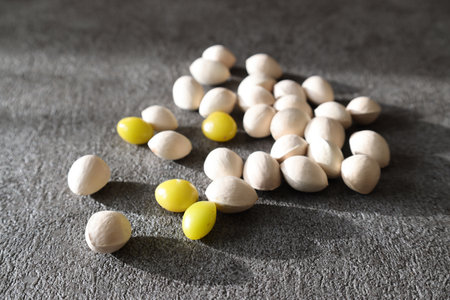 Ginkgo nuts on a gray background.の写真素材
