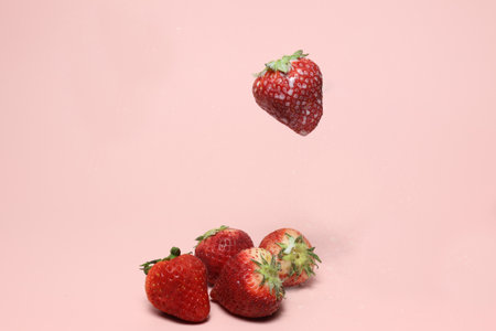 Strawberries covered with milk isolated on a pink background.の写真素材