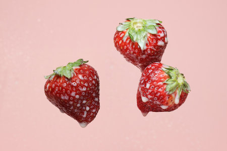 Strawberries covered with milk isolated on a pink background.の写真素材