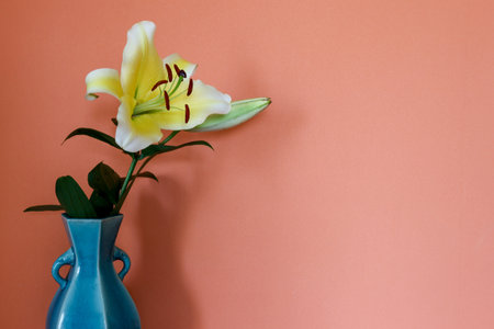 Lily in a blue vase isolated on a orange wall background.の写真素材