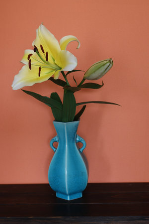 Lily in a blue vase isolated on a orange wall background.の写真素材