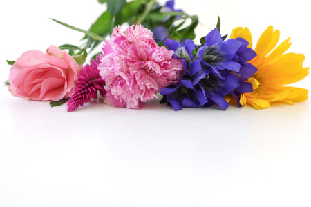 â¤arious kind of flowers isolated on a white background..の写真素材