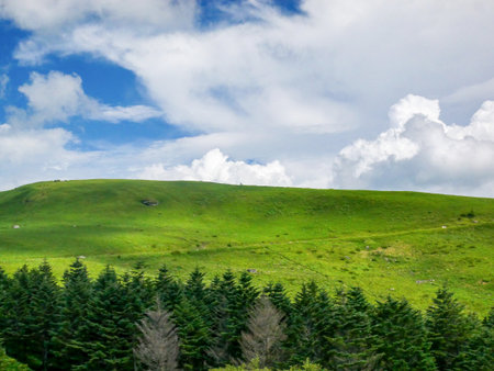 View of Kurumayama Plateau in summer at Nagano Prefecture,Japan.の写真素材