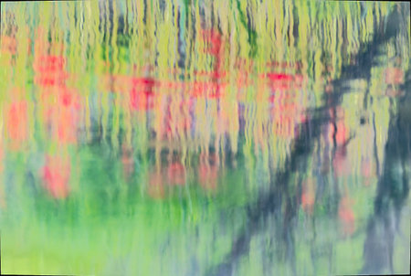 Cluster of red flowers reflected on the river surface with bokeh.