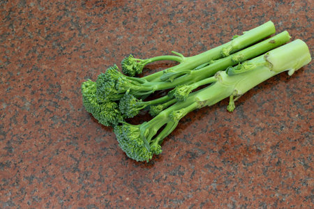 Fresh green Broccolini.の写真素材