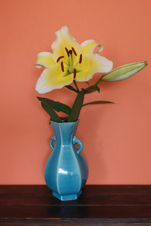 Lily in a blue vase isolated on a orange wall background.の写真素材