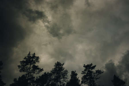 dramatic skies before a rain storm on a hot summer day with tree silhouettesの写真素材