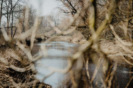 Forest river water reflection landscape through tree branches. River forest scene. Forest river reflection. Forest river waterの写真素材