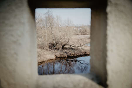 spring tree landscape through a concrete structure forming a frameの写真素材