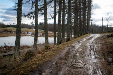 dirty mud road in winter with water on the surface. sunny day with snowの写真素材