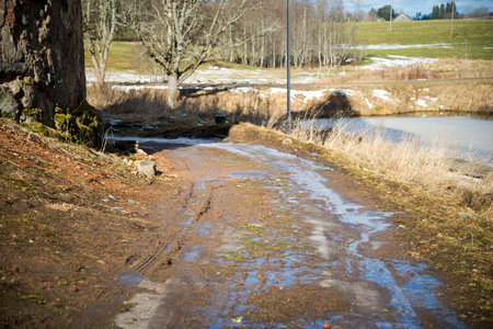 dirty mud road in winter with water on the surface. sunny day with snowの写真素材