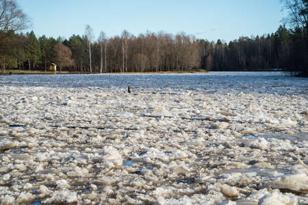 cracked ice floating springtime on blue water mountain lake, seasonal winter landscapeの写真素材