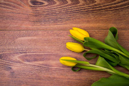Row of tulips on wooden background with space for message. Mother's Day background. Top viewの写真素材