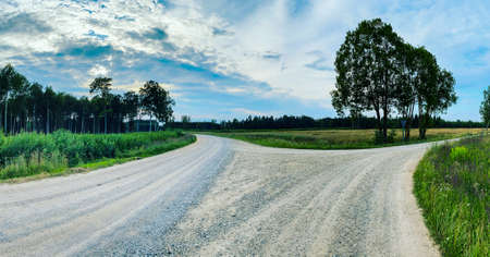 Beautiful summer landscape with a country sand road that divides into an intersection to the right and straight. Tree silhouettes in the blue sky are visible. countryside landscapeの写真素材