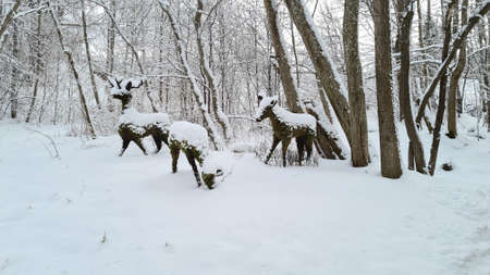 Winter landscape in the forest with artificial moss made of moss. Deer sculpturesの写真素材